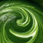 Spinach Soup Recipe Emerald Spinach Soup With Yogurt Swirl 6 Spinach Soup Recipe Emerald Spinach Soup With Yogurt Swirl 1761409632.2715611