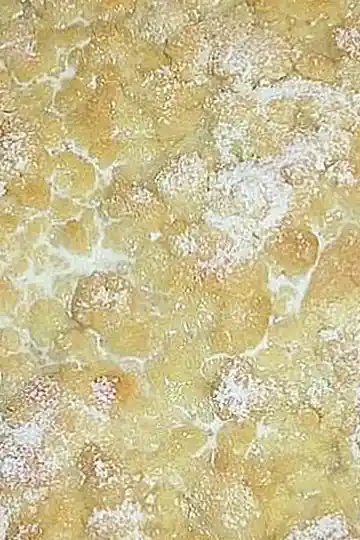 Saftiger Streuselkuchen mit Sahne-Finish 3 Recipe image